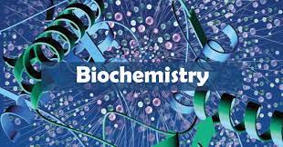 Biochemistry I